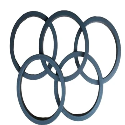 Tfe Gasket